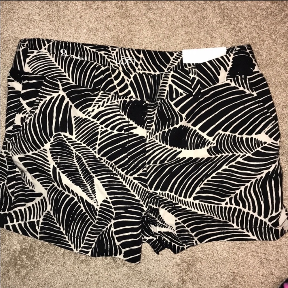 Brand new Ann Taylor loft shorts